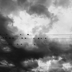 Three on a Hill -- "That Is Alright"