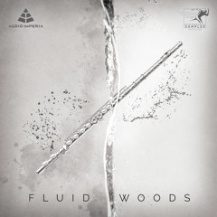 Audio Imperia - Fluid Woods: Tech Demo 1