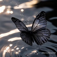 Butterfly (YUKO mashup)