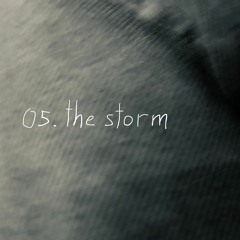 05 The Storm