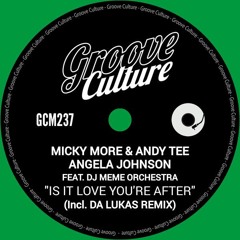 Is It Love You're After - Da Lukas Remix (SNIP)