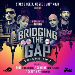 Bridging The Gap Volume 2