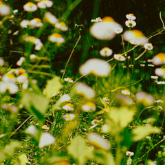 every little thing