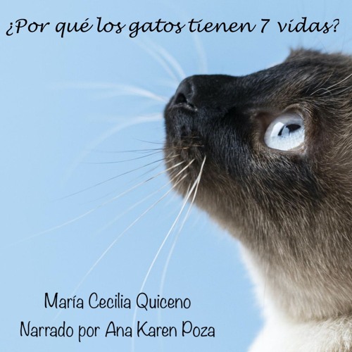 ¿Por qué los gatos tienen 7 vidas?
