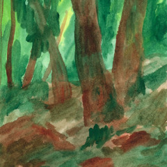 το δάσος αφηγείται el bosque se narra