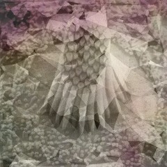 DJemen - Ohrbremse 18.03.2022