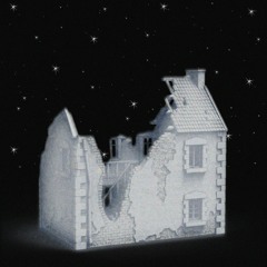 Prohibition 2050 (Brigitte Fontaine Cover)