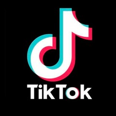 Dj Linda - Mix TIK TOK 2020 (Tattoo Remix, Elefante, Banana, 4k, Safaera, Yo Perreo Sola)