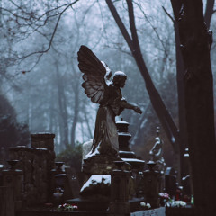 Jainfaoumsxl-ThugLove