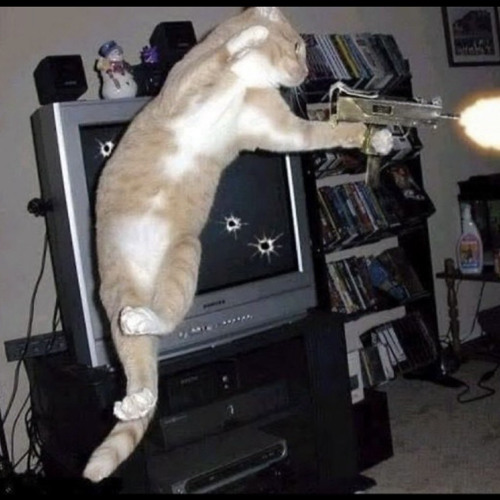 J’AI PISTÉ