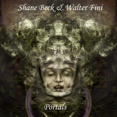 Portals - Shane Beck & Walter Fini