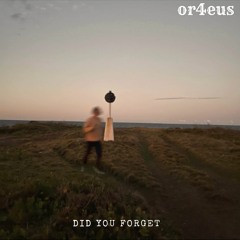 DID YOU FORGET