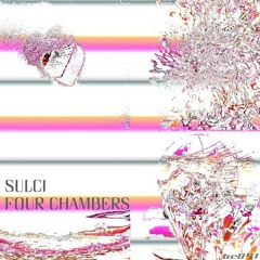 Sulci - Libet's Delay (from the "Four Chambers" album)
