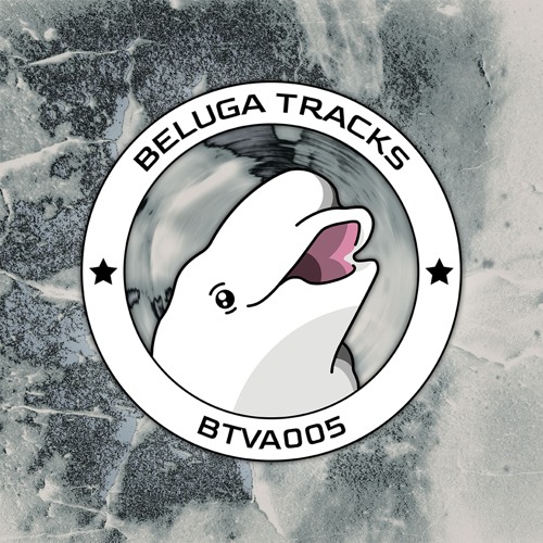 PREMIERE: Paul Fitzgibbon - WHY ARE YOU LOOKING AT ME SO WEIRDLY [BTVA005]