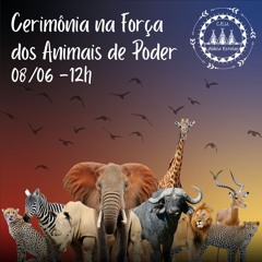 RITUAL PARA OS ANIMAIS DE PODER