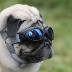 chill // ELECTRONIC //