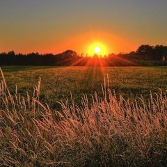 It's a Good Thing (Covered)