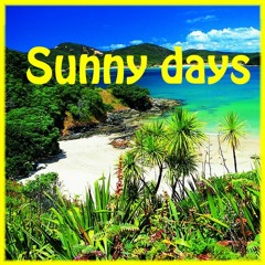 Sunny days Vol 1(whole mix)