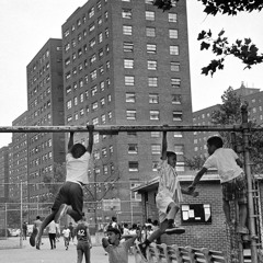 Fort Greene