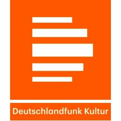 DLF-Kultur, Soundscout: THE OHOHOHS Albumvorstellung mit Martin Risel