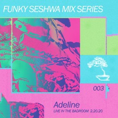 Funky Seshwa Mix Series 003: Adeline (DJ Set) Live In The Bad Room 2.20.20