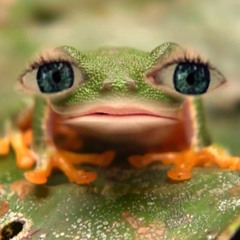 Irishcitizenshiptest 2.m4a