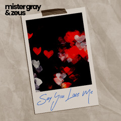 Say You Love Me