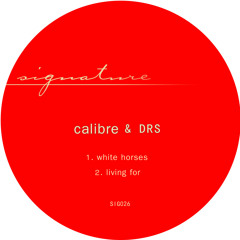 Calibre & DRS white horses