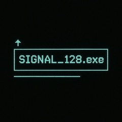 DVN - SIGNAL_128.EXE // TRANSMISSION_01