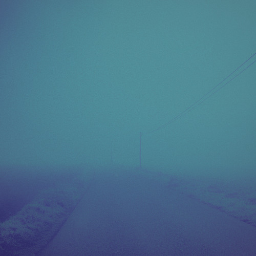summer haze