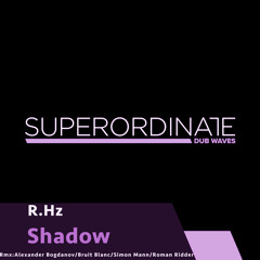 R.Hz - Shadow (BRUIT BLANC Rmx) [Superordinate Dub Waves]