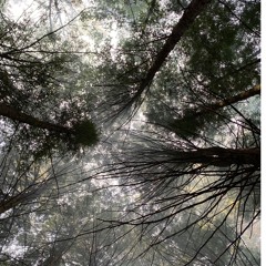 after ______ ep. i: sustain release || grizzly mike