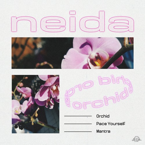 PREMIERE #1074 | Neida - Pace Yourself [Le Ciel] 2020