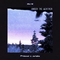 Zenake - Under The Weather