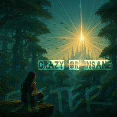 Crazy or Insane