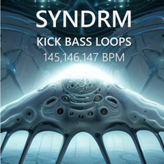 SYNDRM - KICK - BASS - LOOPS - 145 BPM CutMix20230223 Rolling Bassline 4 Beat