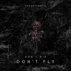 don't die don't fly