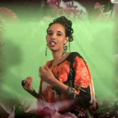 Sagal arts - Walbahaar