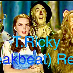 T.Ricky  Wizard Of Oz (Breakbeat Remix)
