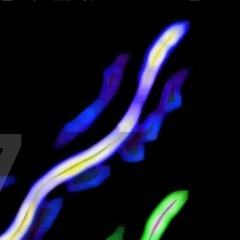 3.8Keys Of (Extra Keys) the New Plus Bts & More