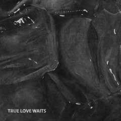 True Love Waits