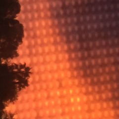 A_01