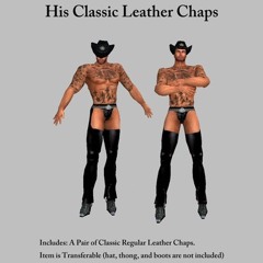 CLASSIK LEATHER CHAPS