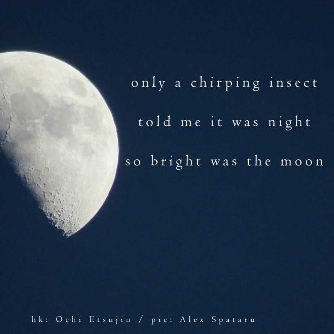 Listen to Bright Moon (naviarhaiku363) by FlownBlue in haiku #363 