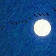 Vol De Nuit de Laurent Crumière