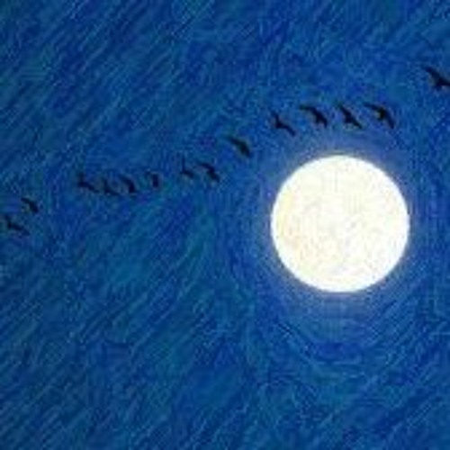 Vol De Nuit de Laurent Crumière