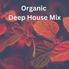 Melodic Organic Deep House Mix ( Jan 2023 )