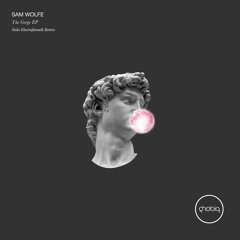 Sam Wolfe - The Gorge (Sisko Electrofanatik Remix)[Phobiq]