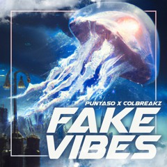 PUNYASO & COLBREAKZ - FAKE VIBES