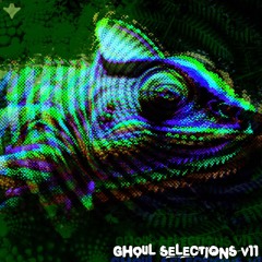 gh0ul Selections V11 (8/25/24)